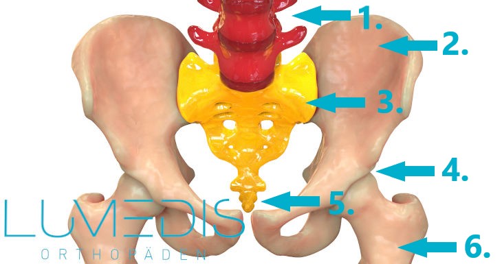 Steißbeinbruch - Das müssen Sie wissen! - Lumedis - Steiß-Spezialisten