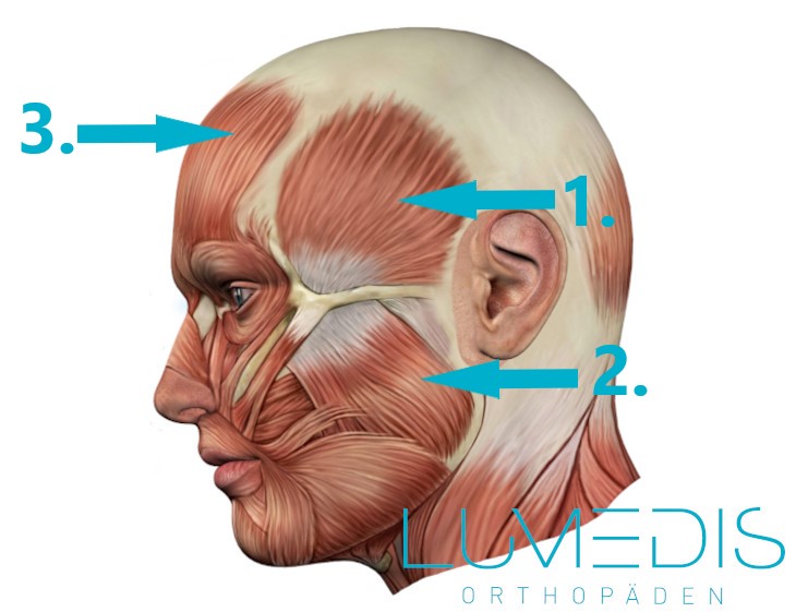 Craniomandibuläre Dysfunktion