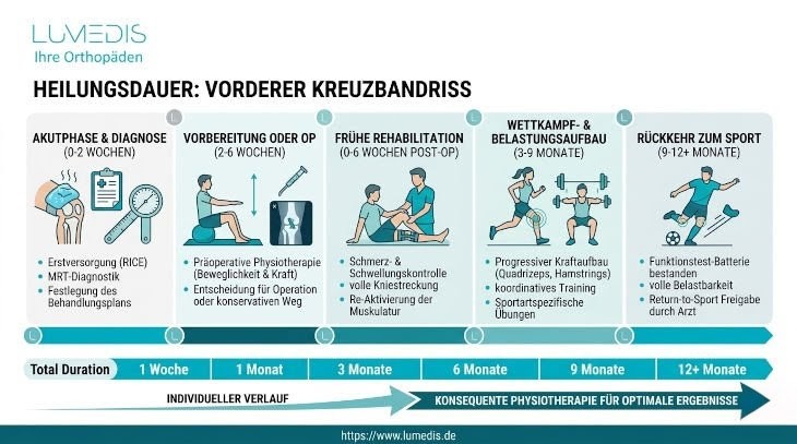 Heilungsdauer eines Kreuzbandrisses Heilungsdauer eines Kreuzbandrisses