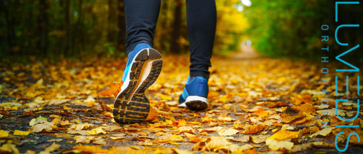 Jogger im Wald