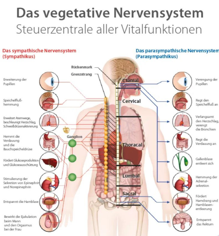 VNS Analyse in Frankfurt bei Lumedis