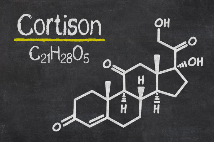 Chemische Formel von Kortison